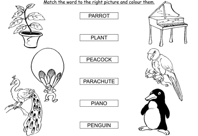 Kids Activity -Match the words Starting with p, colored Picture