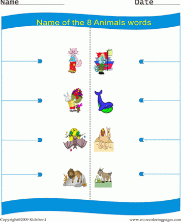 Animals Picture Worksheet Sheet