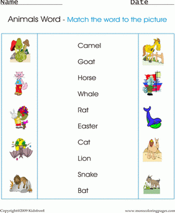 Animals Pictures Sheet