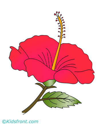 Hibiscus Coloring Pages