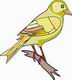 Finch Coloring Pages