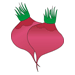 Radish Coloring Pages