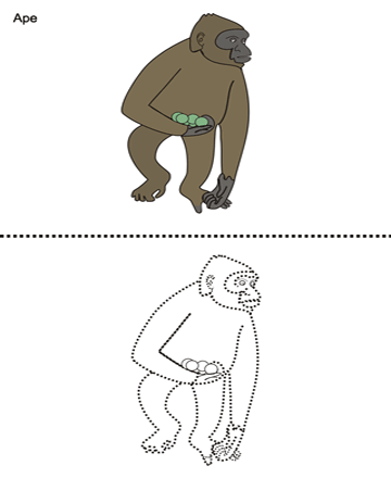 Ape Sheet