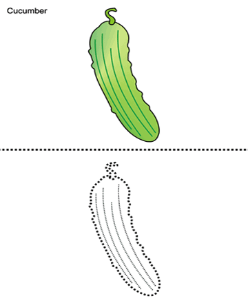 Cucumber Sheet