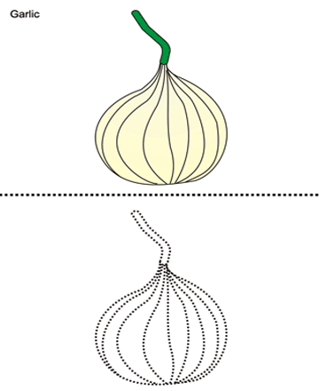 Garlic Sheet