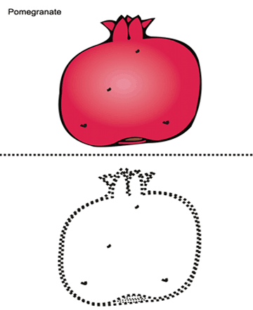 Pomegranate Sheet