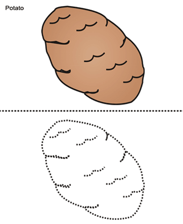 Potato Sheet