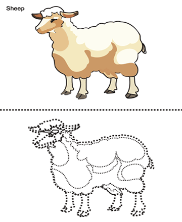 Sheep Sheet